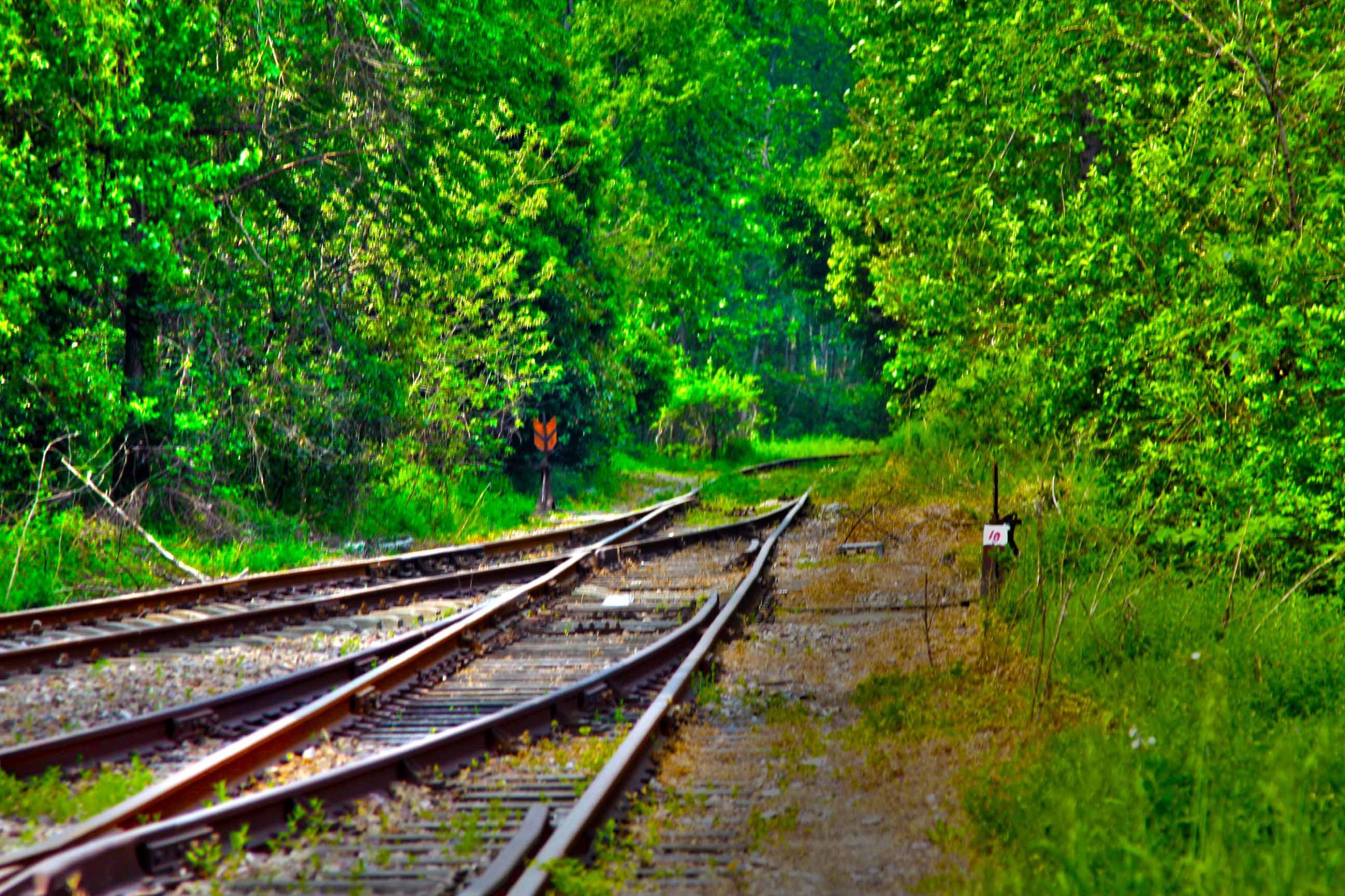 我省今年年內(nèi)有4條鐵路線投入運(yùn)營(yíng)更多出行選擇！