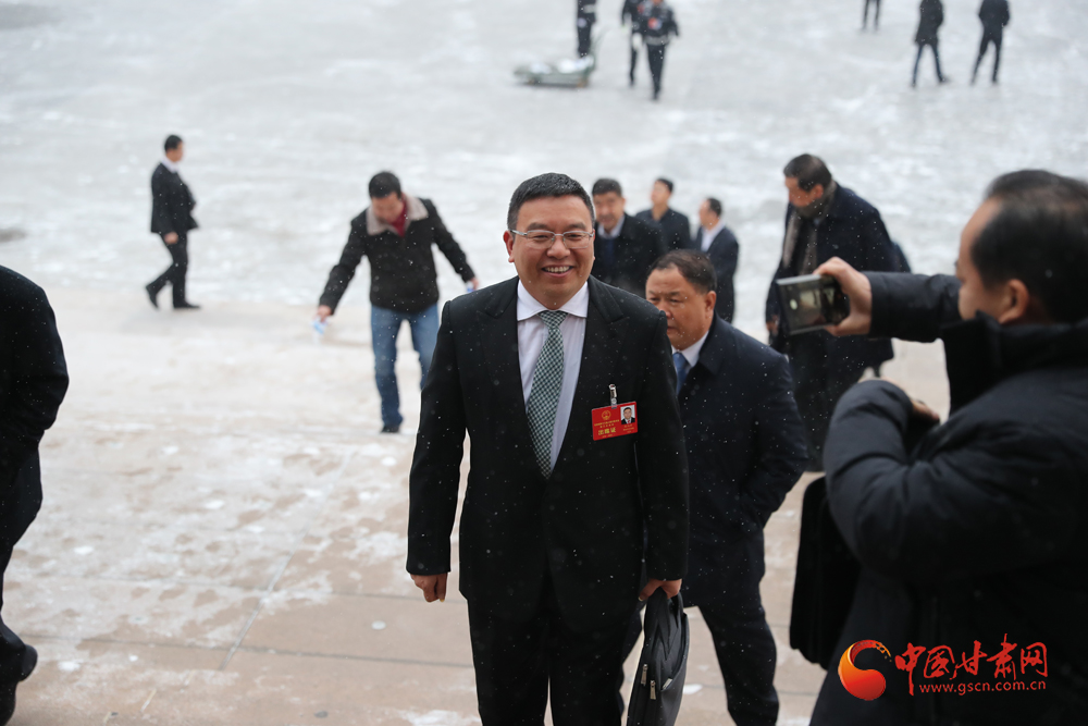 【聚焦2020甘肅兩會】“兩會”代表、委員風采掠影（組圖）
