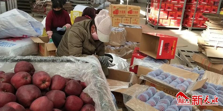 天水“花牛”最近有點“?！?>
        </a><em>天水“花?！弊罱悬c“牛”</em></li>
    <li><a  target=