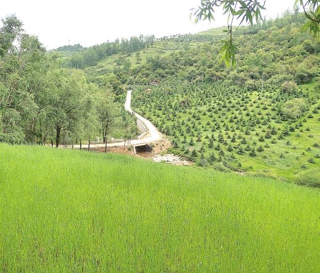 新民村的旅游夢