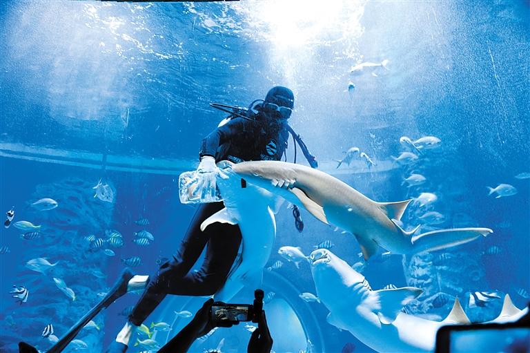 蘭州海洋公園 金昌火星1號(hào)基地 這個(gè)暑假我們“上天入?！?>
        </a><em>蘭州海洋公園 金昌火星1號(hào)基地 這個(gè)暑假我們“上天入?！?/em></li>
    <li><a  target=