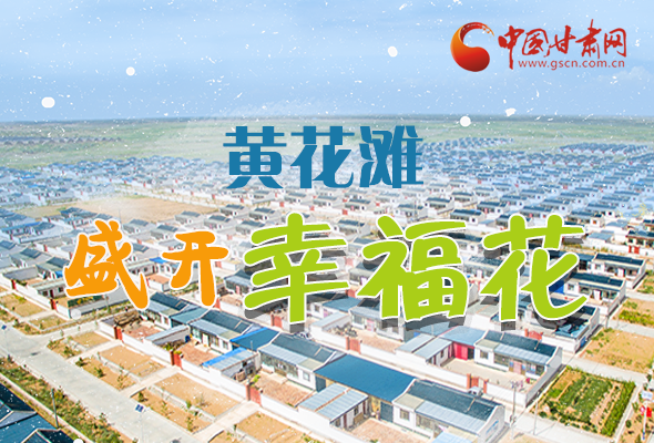 【跟著總書記看甘肅】長圖|武威黃花灘盛開幸?；?