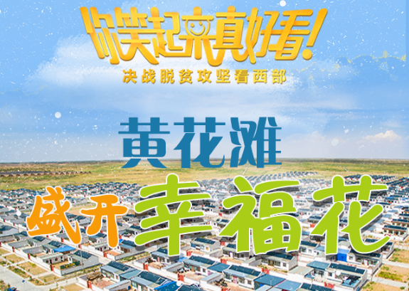 【你笑起來真好看】黃花灘盛開幸?；ǎ▓D解）