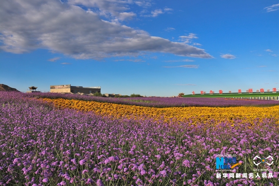 【“飛閱”中國】鳳凰花?！罢钩帷钡は伎?>
        </a><em>【“飛閱”中國】鳳凰花海“展翅”丹霞口</em></li>
    <li><a  target=