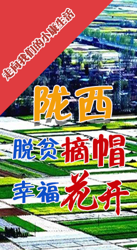 【走向我們的小康生活】長圖|隴西：脫貧摘帽 幸?；ㄩ_