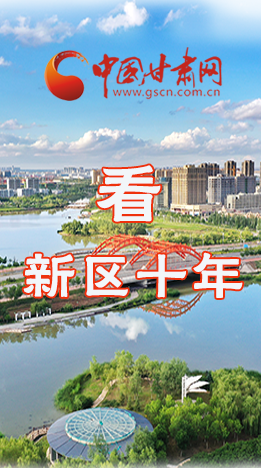 圖解|崛起！新區(qū)十年