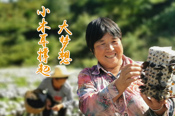 海報(bào)丨他們，乘“豐”破浪！