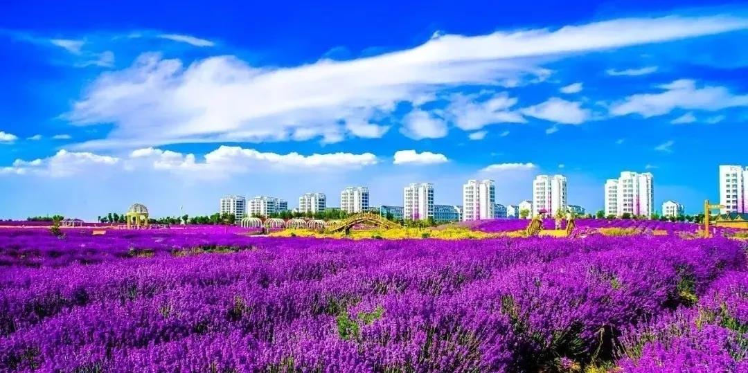 喜訊！金昌蟬聯(lián)全國(guó)文明城市