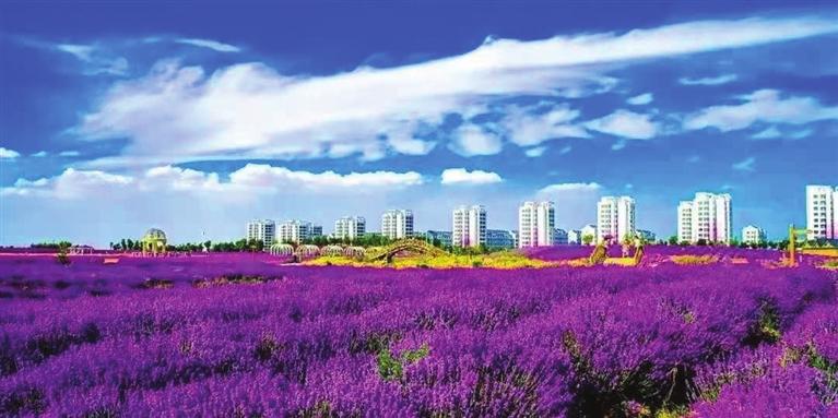 “三連冠”！金昌蟬聯(lián)全國(guó)文明城市