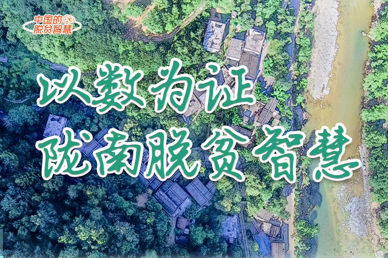 【中國的脫貧智慧】以數(shù)為證！隴南脫貧智慧來了！