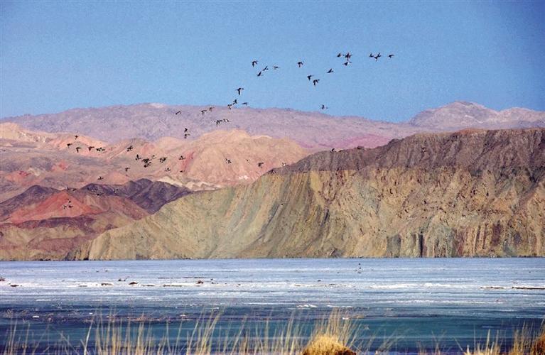 “天境昌馬”“紅田園”被評(píng)為國家3A級(jí)旅游景區(qū)