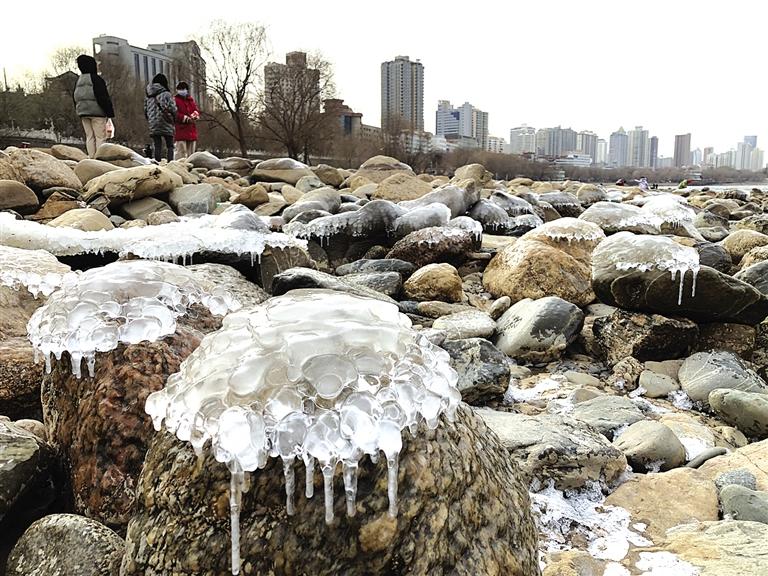 蘭州：水母上河灘？