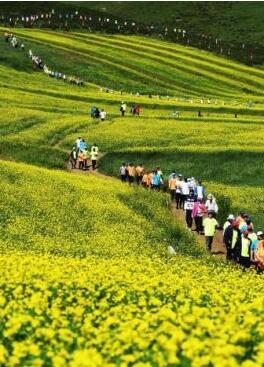 甘肅明確農(nóng)民進(jìn)城落戶:不以退出承包地、林地等為條件