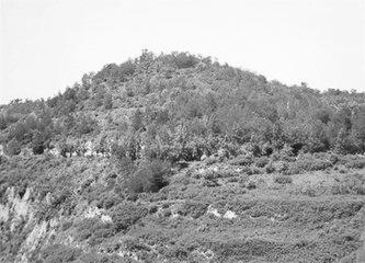 歷史眼丨張果老是正寧人？他與甘肅福緣不淺