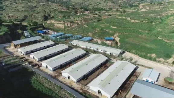 “莊浪模式”賦能產(chǎn)業(yè)提質增效