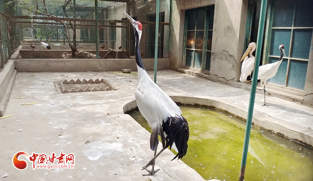 蘭州公安提醒市民：非緊急非必要，不出境