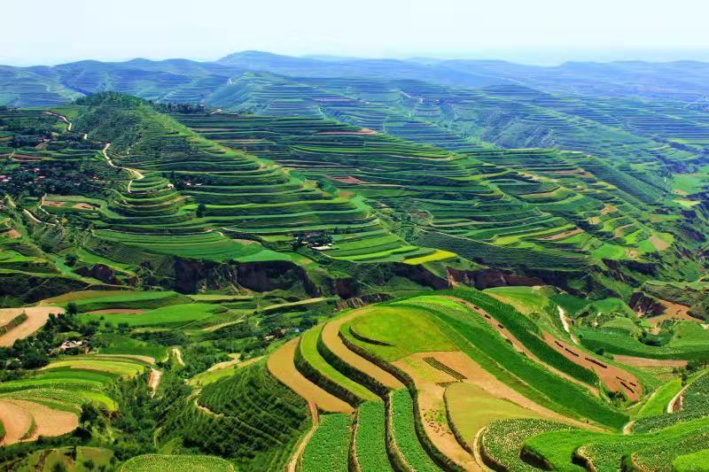 追趕進(jìn)位，跑好脫貧后的“第一棒”——定西市委書記戴超談“后脫貧”時(shí)代定西高質(zhì)量發(fā)展