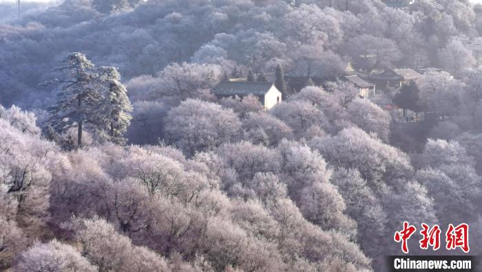 圖為霧凇美景?！⌒煺袢A 攝