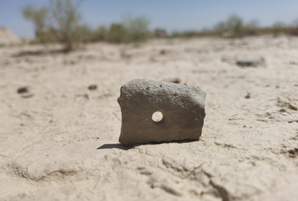 插圖1：河西走廊上遺存的古陶片。攝影：陳曉斌。拍攝日期：2020年6月。
