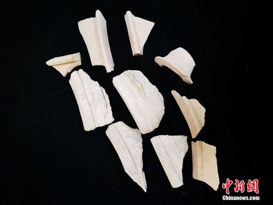 圖為靜寧縣賈河鄉(xiāng)竇坪村出土的彩陶片、紅陶片。 夏劍鋒 攝