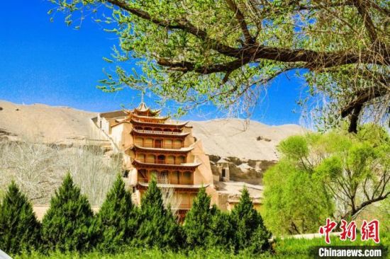 4月的敦煌莫高窟景區(qū)春意盎然。(資料圖) 王斌銀 攝