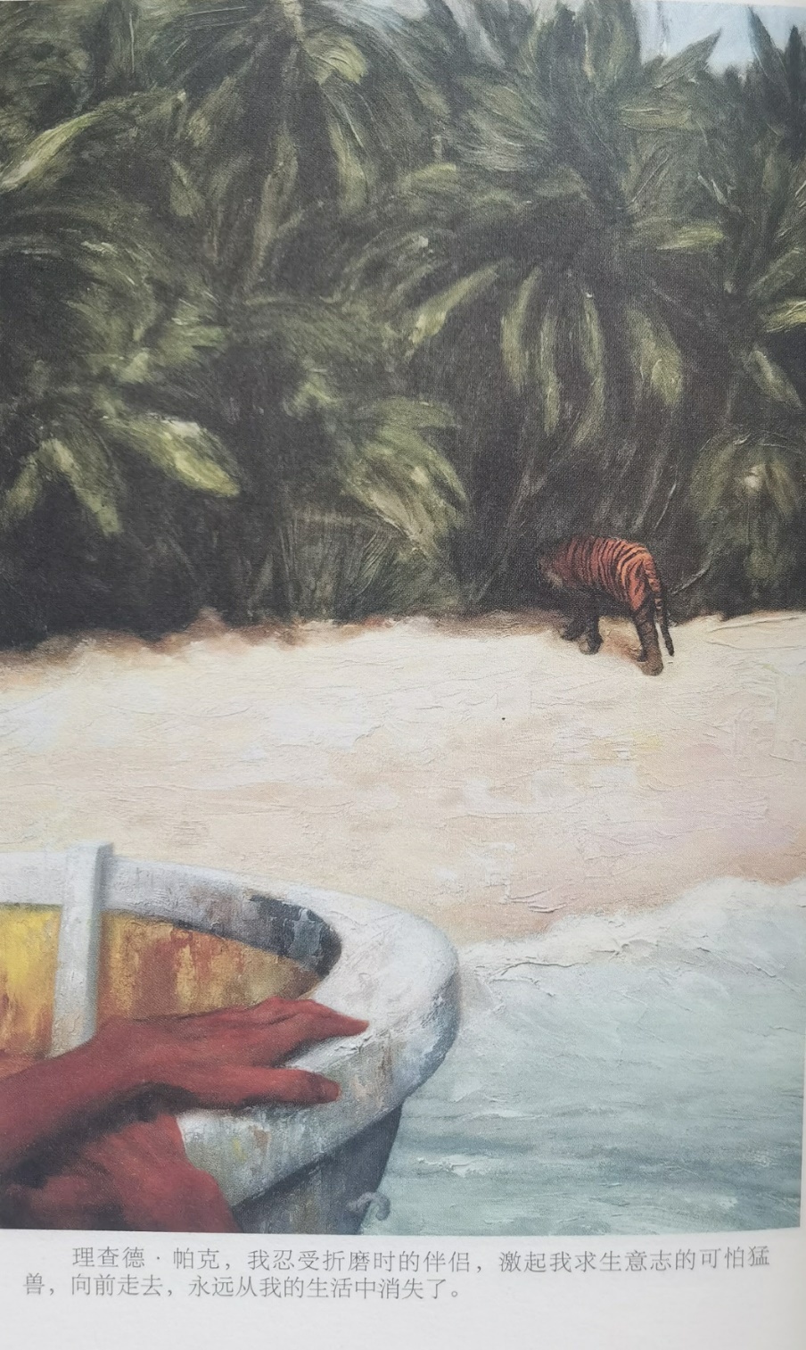 插圖3：揚(yáng)？馬特爾的小說(shuō)《少年pi的奇幻漂流》插圖