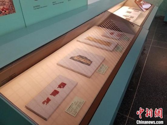 圖為展覽現(xiàn)場?！《鼗脱芯吭汗﹫D