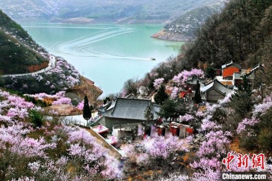 甘肅平?jīng)鍪惺侵袊鴥?yōu)秀旅游城市。圖為平?jīng)鲠轻忌较率锾一ㄊ㈤_。(資料圖) 平?jīng)鍪形麄鞑抗﹫D