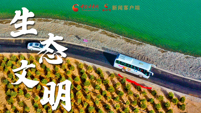 彈幕海報丨熱議甘肅省委十三屆十六次全會 網(wǎng)民聲音在回響！