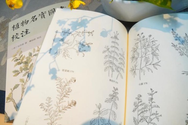 《植物名實(shí)圖考校注》內(nèi)頁。圖片來源：中華書局供圖