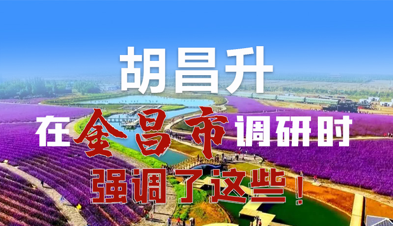 圖解|胡昌升在金昌市調(diào)研時強(qiáng)調(diào)了這些！