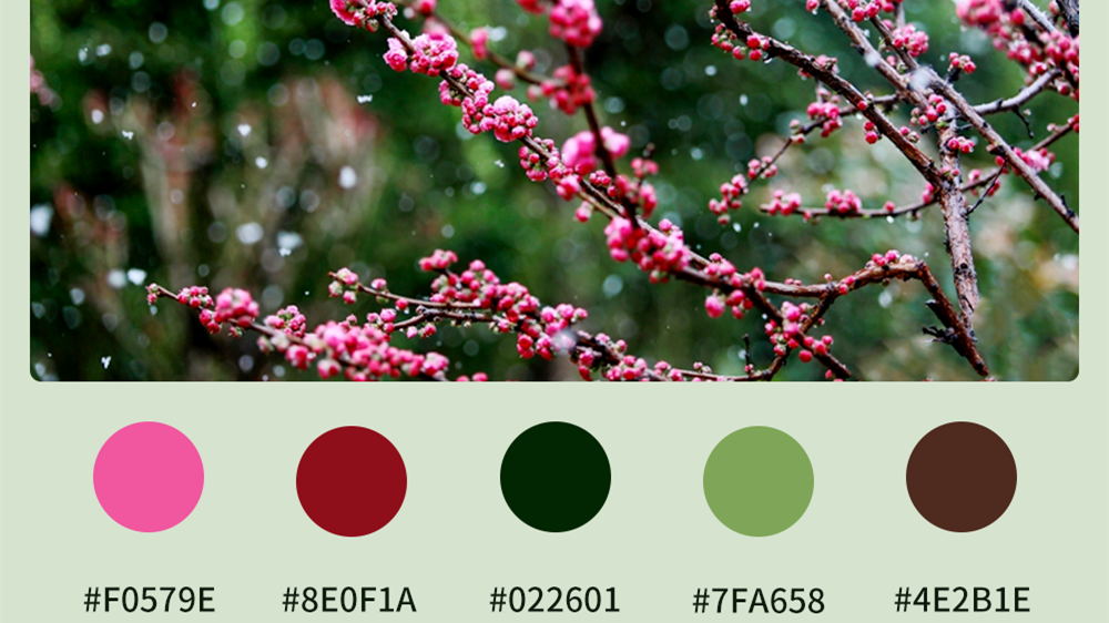 微海報(bào)|收藏！色卡里的春日甘肅