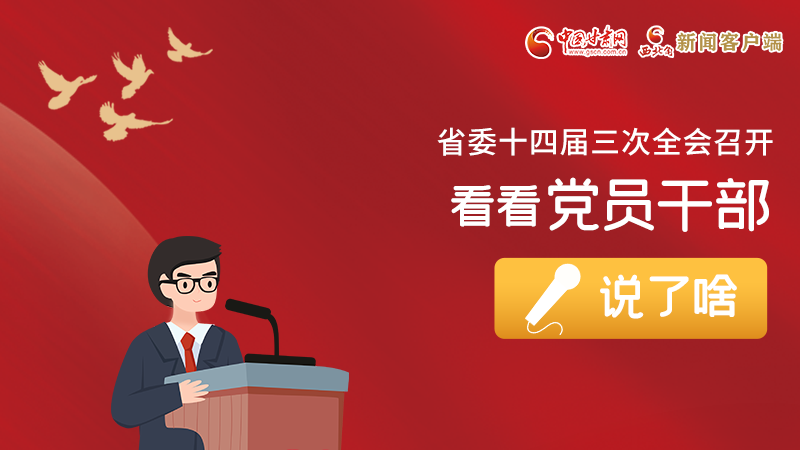 圖解|事關甘肅省委十四屆三次全會，黨員干部這么說！