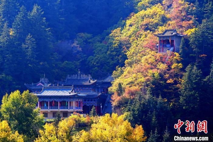 深秋，位于蘭州市榆中縣的興隆山景色如畫(huà)。宮衛(wèi)紅 攝