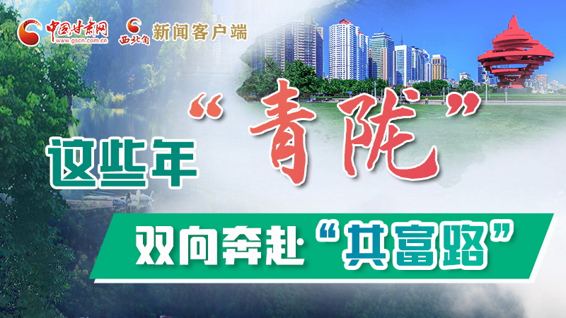 【江河奔流·青隴協(xié)作譜新篇】這些年，“青隴”雙向奔赴“共富路”