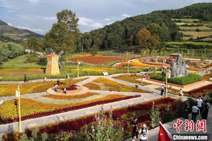 圖為航拍甘肅甘南臨潭縣八角鎮(zhèn)，花海吸引游人。(資料圖)高展 攝