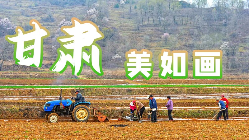 微海報(bào)|甘肅，美如畫(huà)