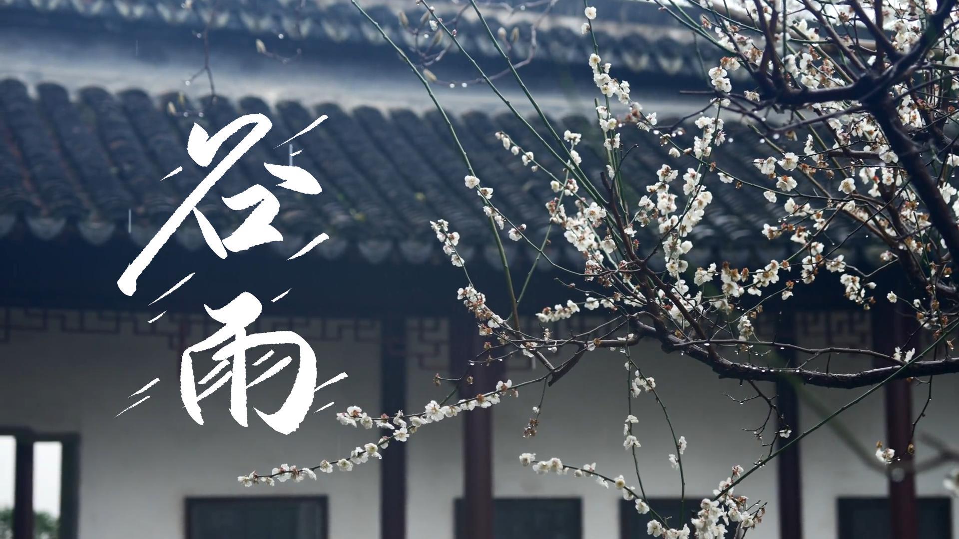 【節(jié)氣里的大美甘肅】谷雨，春天的最后一次回眸