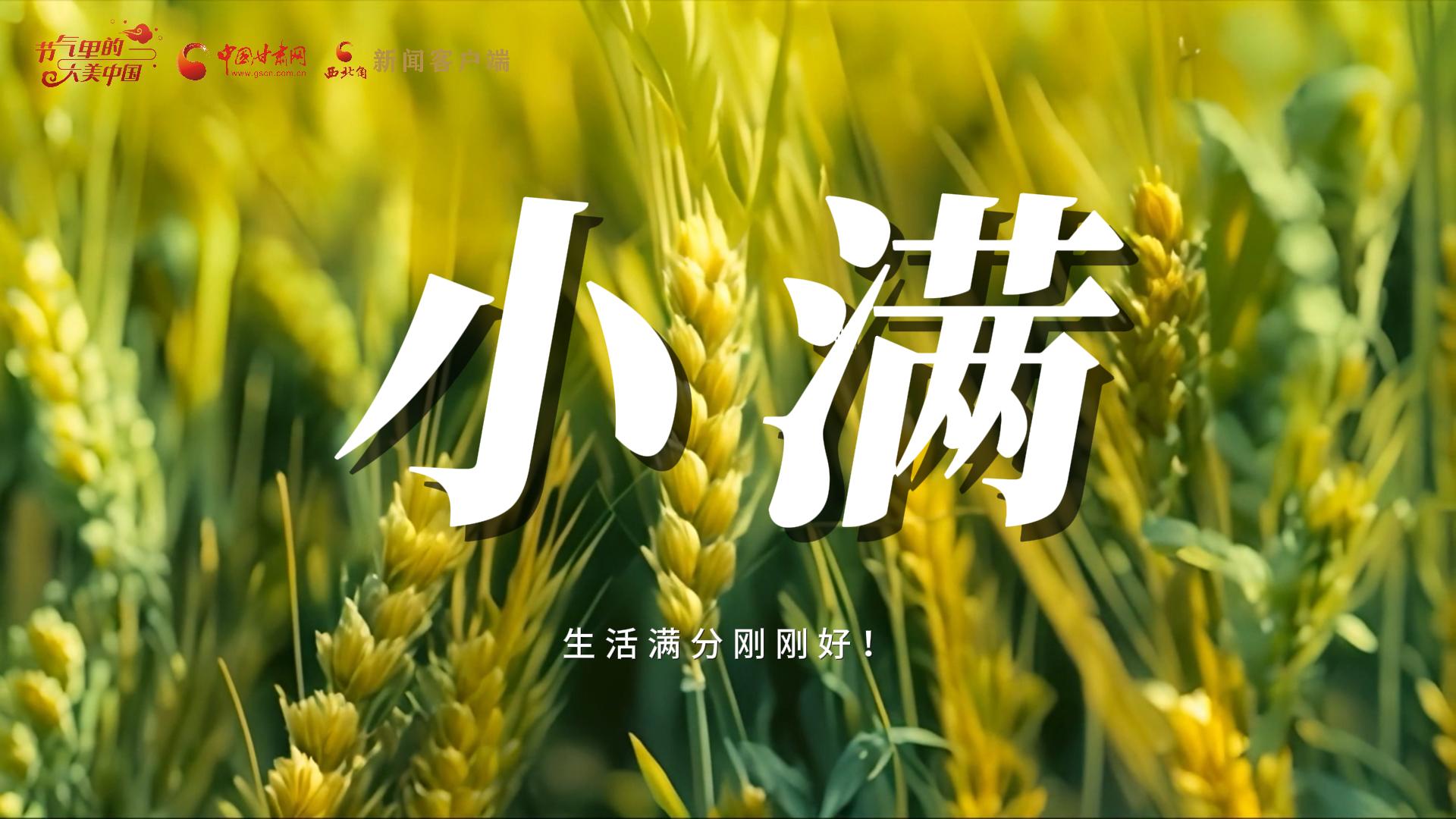 【節(jié)氣里的大美甘肅·小滿】生活滿分剛剛好!