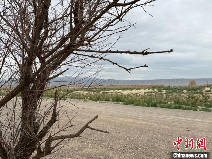 圖為位于長(zhǎng)城墻體上的“馬面”或“敵臺(tái)”?！〈魑牟?攝