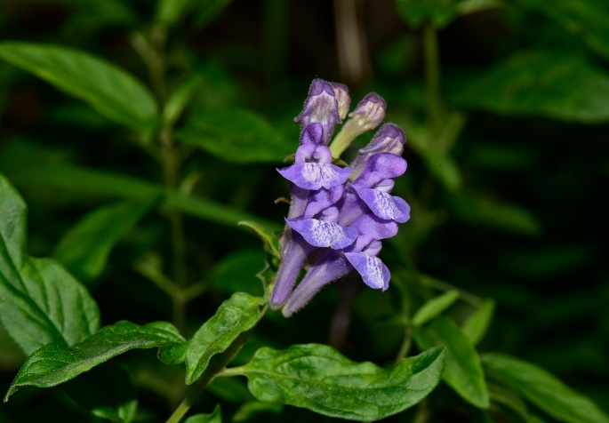 1722581942523220.jpg 23-2.jpg