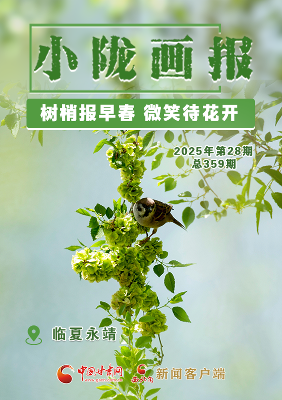 【小隴畫報·359期】永靖：樹梢報早春 微笑待花開