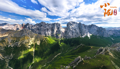 秋天拍了拍“卓尼” 說(shuō)“你真美！”