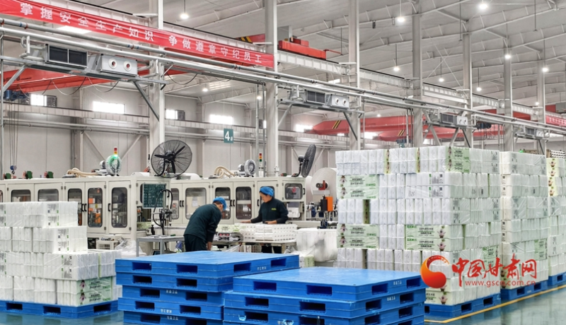 四中全會精神在基層 高質(zhì)量發(fā)展調(diào)研行｜一“紙”獨(dú)秀鏈出新產(chǎn)業(yè)